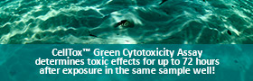 CellTox Green Dye-photostable and non toxic